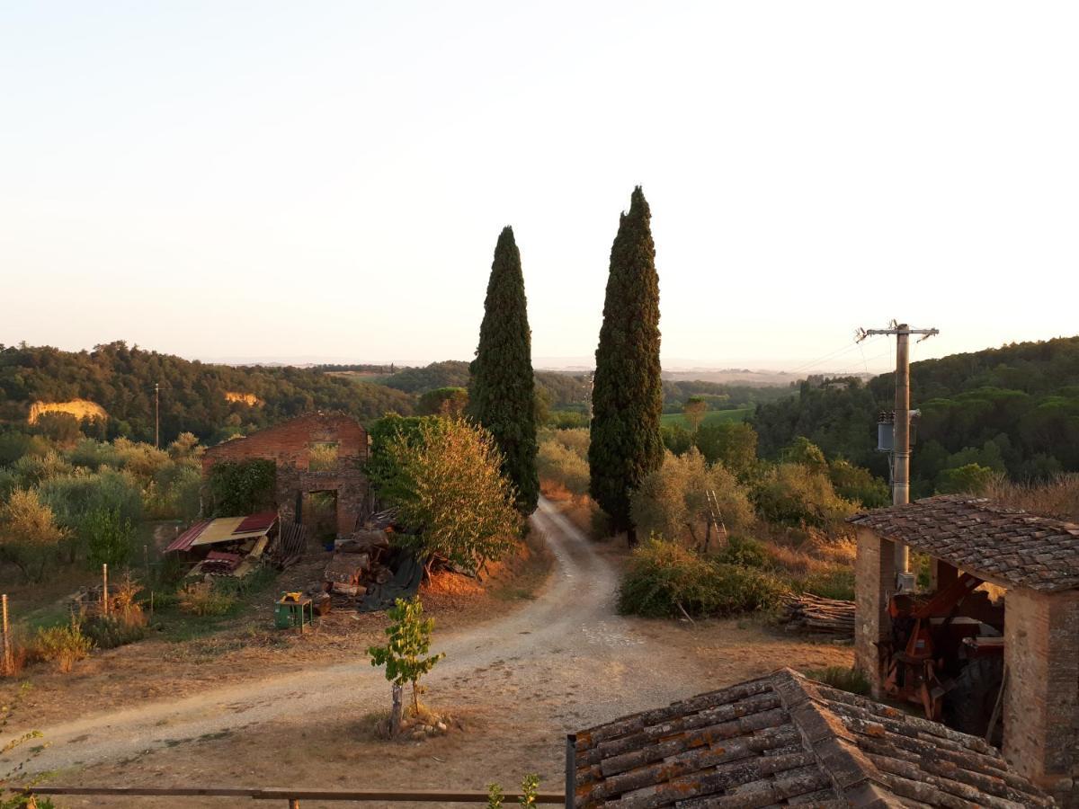 Podere Calcinaia Castelnuovo Berardenga Exterior photo