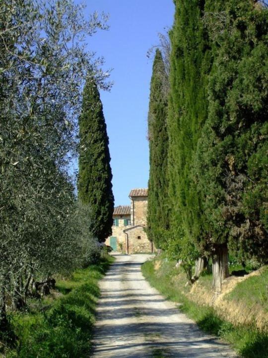 Podere Calcinaia Castelnuovo Berardenga Exterior photo